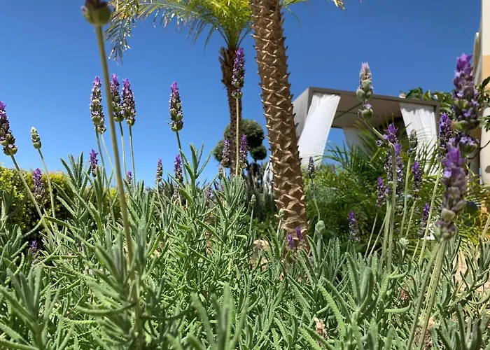 别墅 Casa Palmeiras