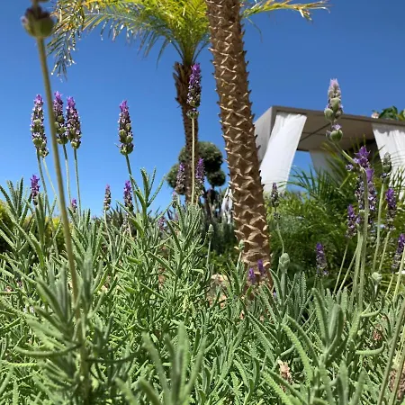 Villa Casa Palmeiras